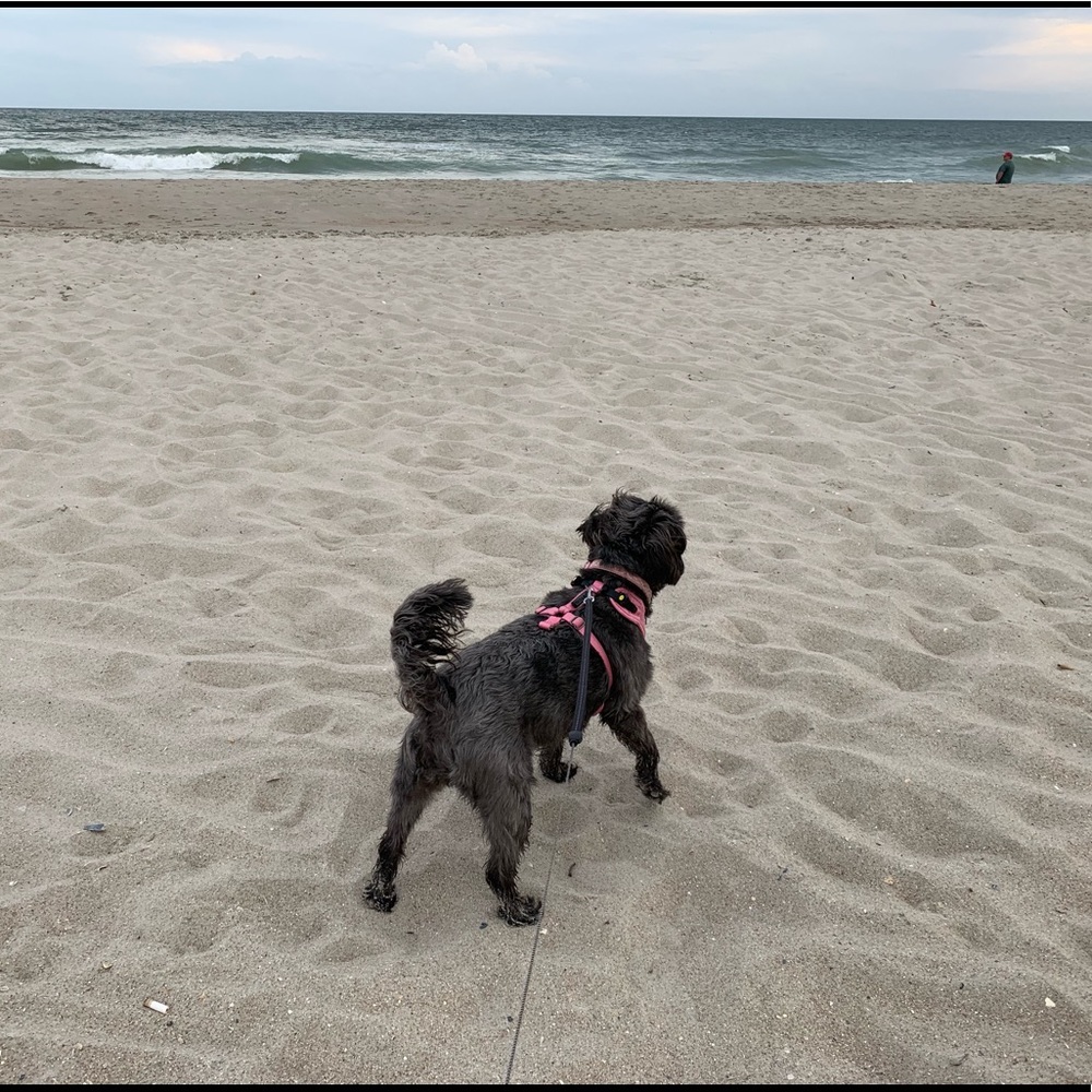 Meet your Posher, Laura